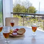 Lakeside-apartment-1 Grand Familial Avec 2 Terrasses Et Vue Panoramique Appartement Vevey