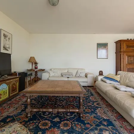 Lakeside-apartment-1 Grand Familial Avec 2 Terrasses Et Vue Panoramique Vevey