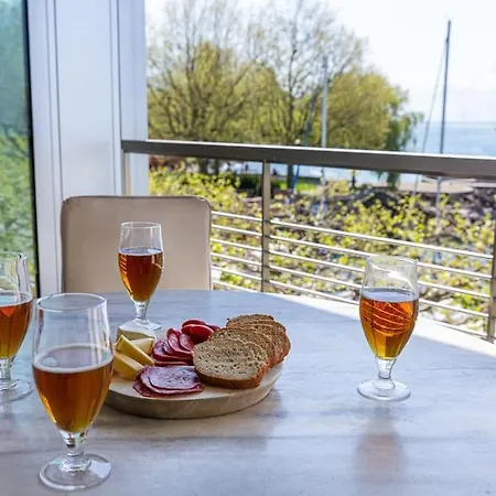Lakeside-apartment-1 Grand Familial Avec 2 Terrasses Et Vue Panoramique Lejlighed Vevey