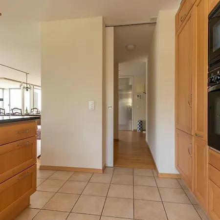 Lakeside-apartment-1 Grand Familial Avec Terrasses Et Vue Panoramique 아파트 브베