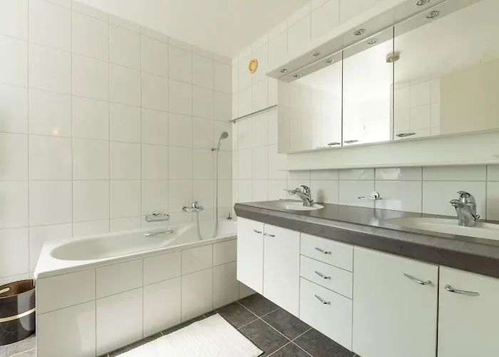 Lakeside-apartment-1 Grand Familial Avec 2 Terrasses Et Vue Panoramique 公寓 沃韦