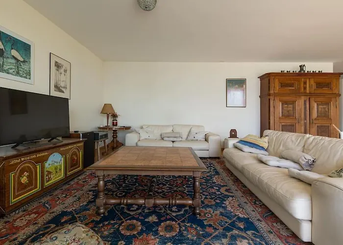 Lakeside-apartment-1 Grand Familial Avec 2 Terrasses Et Vue Panoramique 沃韦